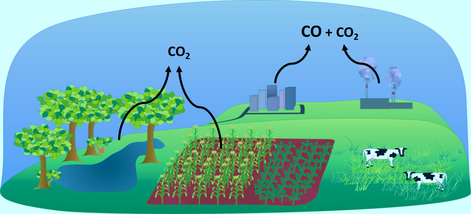 How do you know rising carbon dioxide levels are from human activities